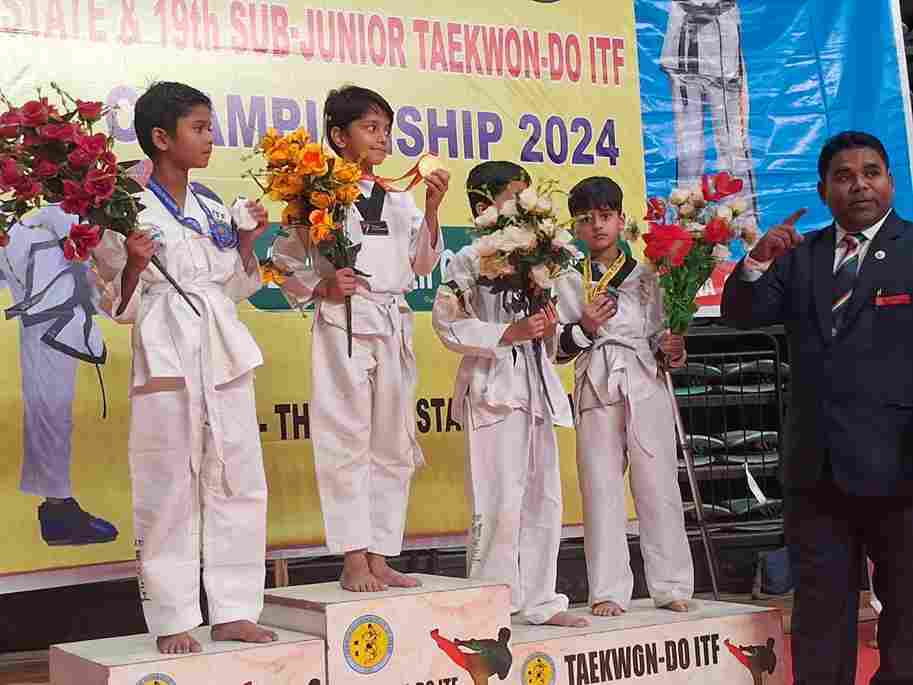 Taekwondo accolades